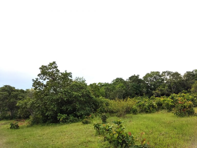 SÍTIO 15 ALQUEIRES C/ REPRESA – Pertinho da cidade