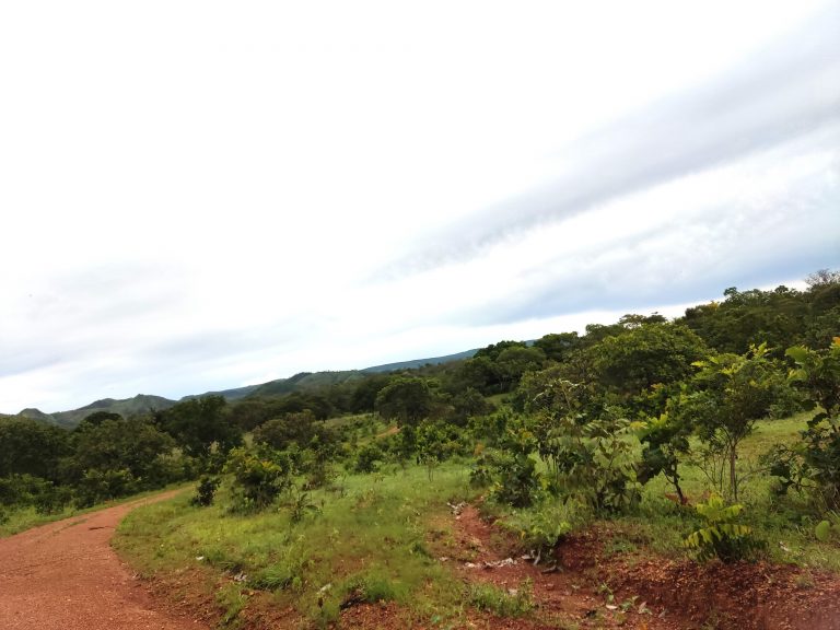 SÍTIO 15 ALQUEIRES C/ REPRESA – Pertinho da cidade
