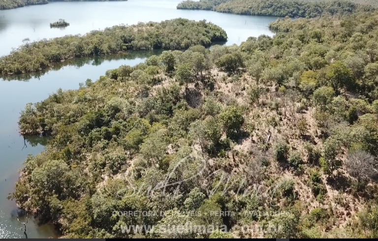 Fazenda de 64 alq. na beira do lago do Rio Tocantins Fazenda de 64 alq. na beira do lago do Rio Tocantins