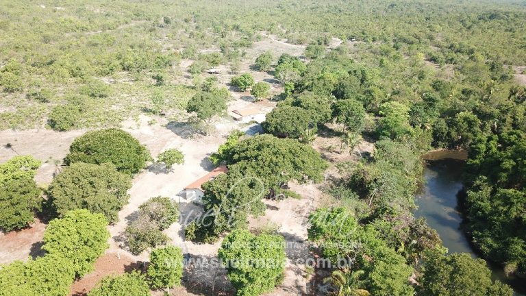 Fazenda 613 alq (2966 ha) 100% Plana – Paranã/TO Fazenda 613 alq (2966 ha) 100% Plana – Paranã/TO