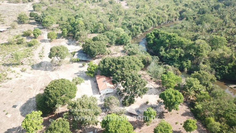 Fazenda 613 alq (2966 ha) 100% Plana – Paranã/TO Fazenda 613 alq (2966 ha) 100% Plana – Paranã/TO