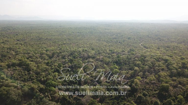 Fazenda 613 alq (2966 ha) 100% Plana – Paranã/TO Fazenda 613 alq (2966 ha) 100% Plana – Paranã/TO