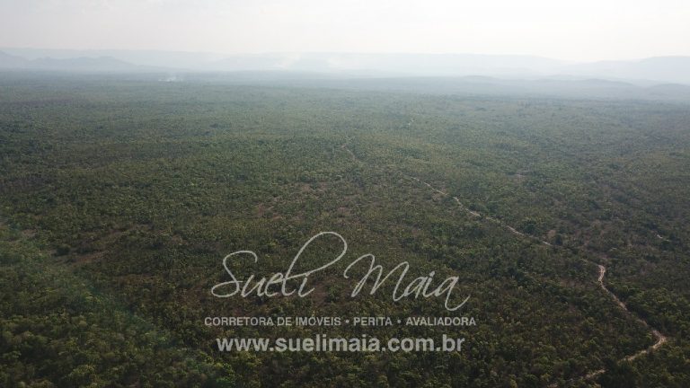 Fazenda 613 alq (2966 ha) 100% Plana – Paranã/TO Fazenda 613 alq (2966 ha) 100% Plana – Paranã/TO
