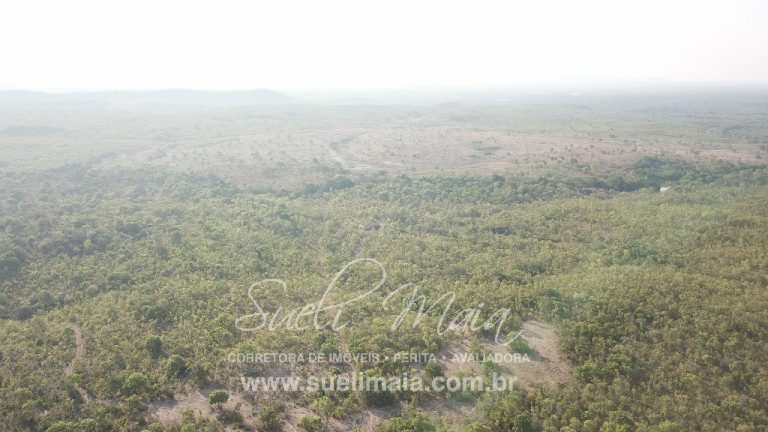 Fazenda 613 alq (2966 ha) 100% Plana – Paranã/TO Fazenda 613 alq (2966 ha) 100% Plana – Paranã/TO