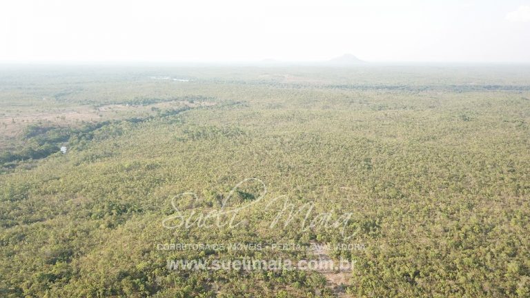 Fazenda 613 alq (2966 ha) 100% Plana – Paranã/TO Fazenda 613 alq (2966 ha) 100% Plana – Paranã/TO