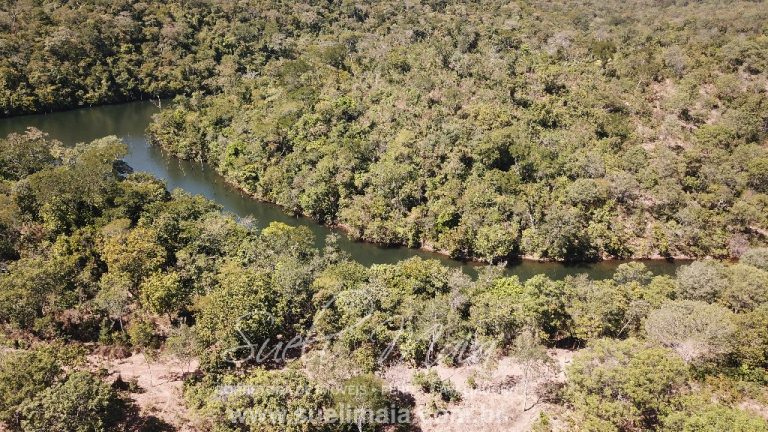 Fazenda de 64 alq. na beira do lago do Rio Tocantins Fazenda de 64 alq. na beira do lago do Rio Tocantins