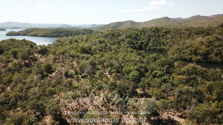 Fazenda de 64 alq. na beira do lago do Rio Tocantins Fazenda de 64 alq. na beira do lago do Rio Tocantins