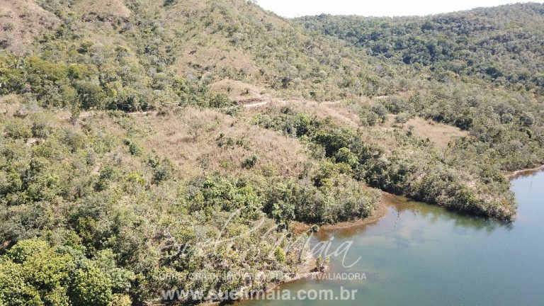 Fazenda de 64 alq. na beira do lago do Rio Tocantins Fazenda de 64 alq. na beira do lago do Rio Tocantins