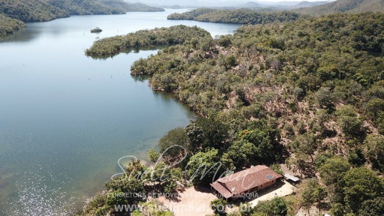 Fazenda de 64 alq. na beira do lago do Rio Tocantins Fazenda de 64 alq. na beira do lago do Rio Tocantins