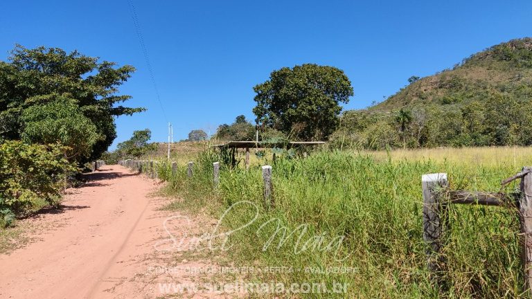 Fazenda de 64 alq. na beira do lago do Rio Tocantins Fazenda de 64 alq. na beira do lago do Rio Tocantins
