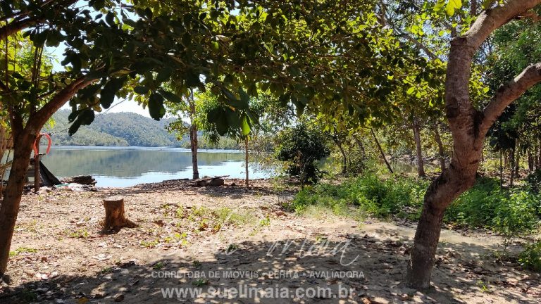 Fazenda de 64 alq. na beira do lago do Rio Tocantins Fazenda de 64 alq. na beira do lago do Rio Tocantins