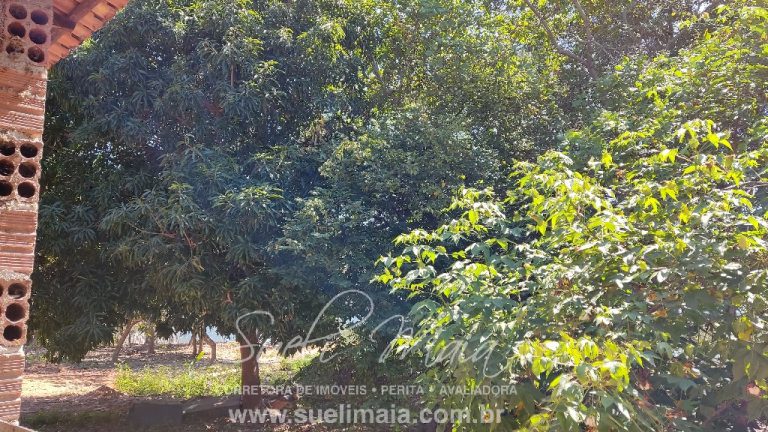 Fazenda de 64 alq. na beira do lago do Rio Tocantins Fazenda de 64 alq. na beira do lago do Rio Tocantins