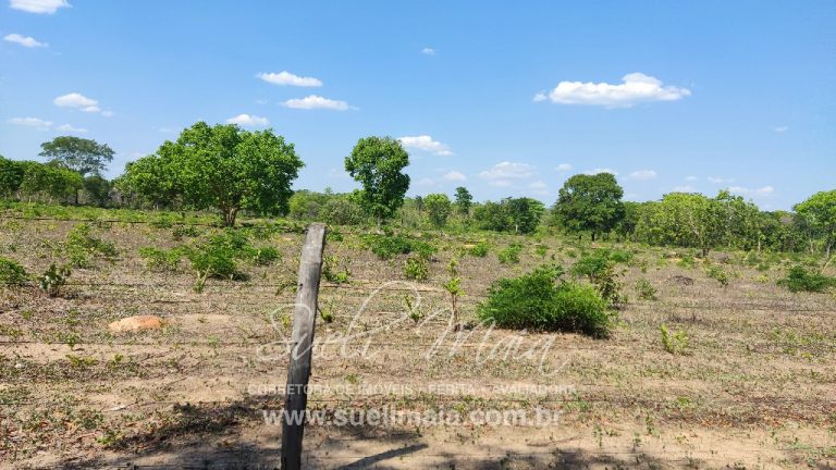 Fazenda 613 alq (2966 ha) 100% Plana – Paranã/TO Fazenda 613 alq (2966 ha) 100% Plana – Paranã/TO