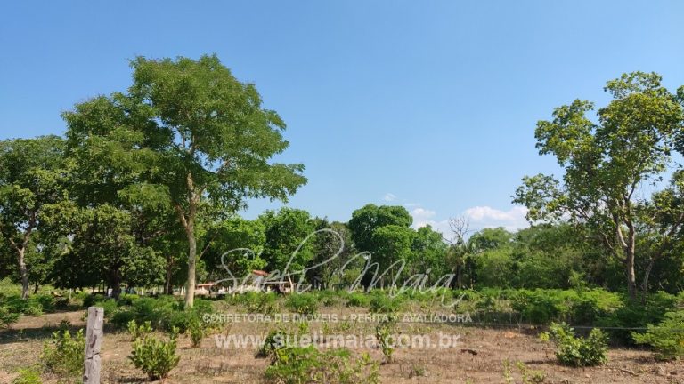 Fazenda 613 alq (2966 ha) 100% Plana – Paranã/TO Fazenda 613 alq (2966 ha) 100% Plana – Paranã/TO