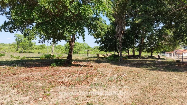 Fazenda 613 alq (2966 ha) 100% Plana – Paranã/TO Fazenda 613 alq (2966 ha) 100% Plana – Paranã/TO