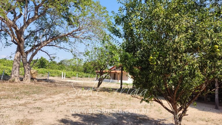 Fazenda 613 alq (2966 ha) 100% Plana – Paranã/TO Fazenda 613 alq (2966 ha) 100% Plana – Paranã/TO
