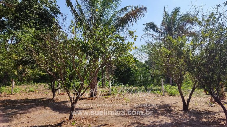 Fazenda 613 alq (2966 ha) 100% Plana – Paranã/TO Fazenda 613 alq (2966 ha) 100% Plana – Paranã/TO