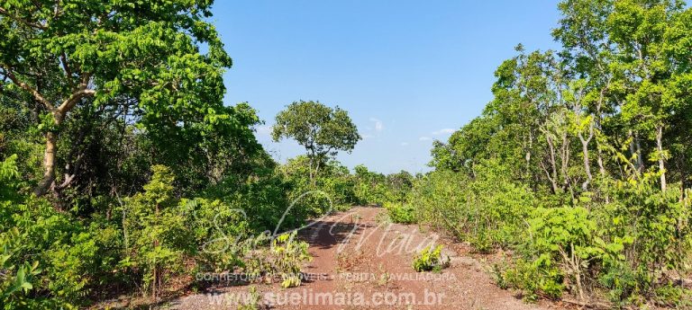 Fazenda 613 alq (2966 ha) 100% Plana – Paranã/TO Fazenda 613 alq (2966 ha) 100% Plana – Paranã/TO