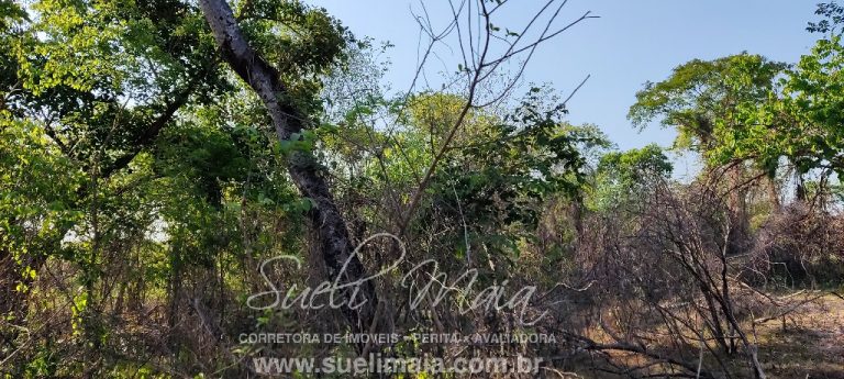 Fazenda 613 alq (2966 ha) 100% Plana – Paranã/TO Fazenda 613 alq (2966 ha) 100% Plana – Paranã/TO