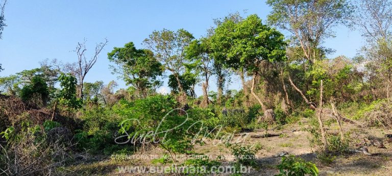 Fazenda 613 alq (2966 ha) 100% Plana – Paranã/TO Fazenda 613 alq (2966 ha) 100% Plana – Paranã/TO
