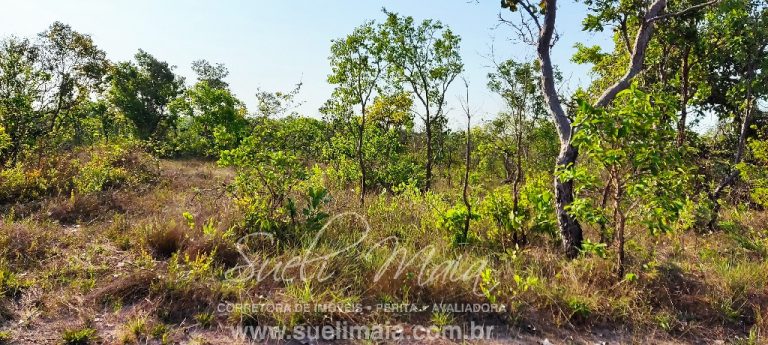 Fazenda 613 alq (2966 ha) 100% Plana – Paranã/TO Fazenda 613 alq (2966 ha) 100% Plana – Paranã/TO