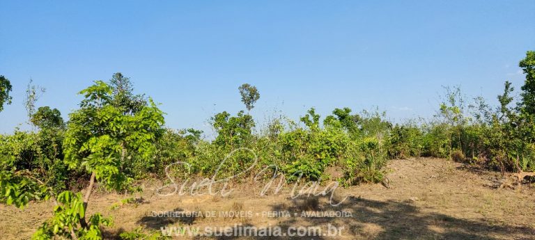 Fazenda 613 alq (2966 ha) 100% Plana – Paranã/TO Fazenda 613 alq (2966 ha) 100% Plana – Paranã/TO