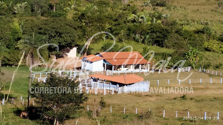 FAZENDA 161 ALQ. P/ PECUÁRIA – NO ASFALTO – A 50MIL POR ALQUEIRE