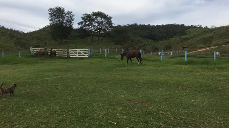 FAZENDA 161 ALQ. P/ PECUÁRIA – NO ASFALTO – A 50MIL POR ALQUEIRE