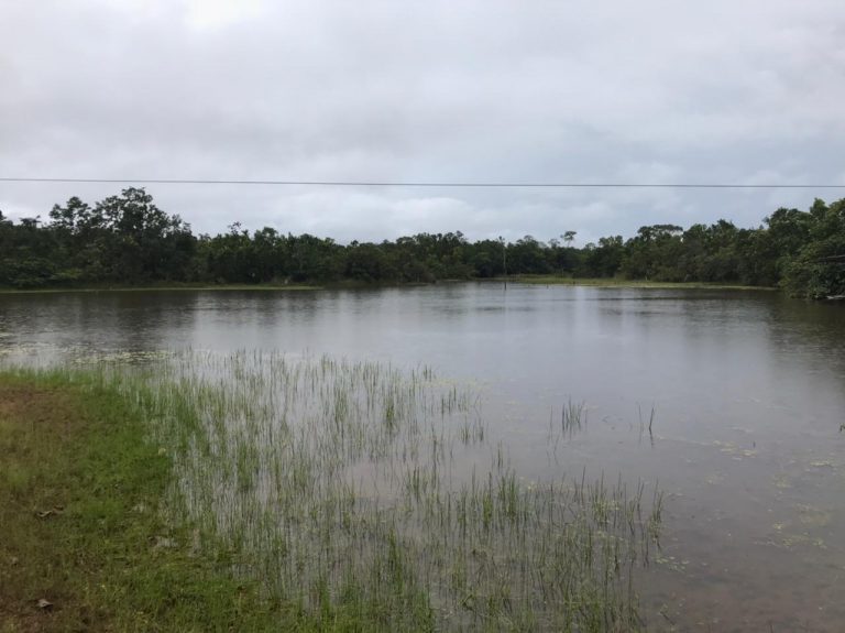 Fazenda de 50 alq. 100% plana – Dupla aptidão – 29 Km de Minaçu/GO