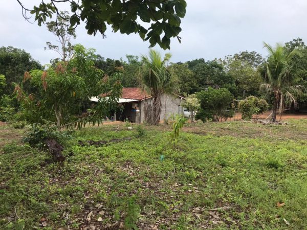 Fazenda de 50 alq. 100% plana – Dupla aptidão – 29 Km de Minaçu/GO