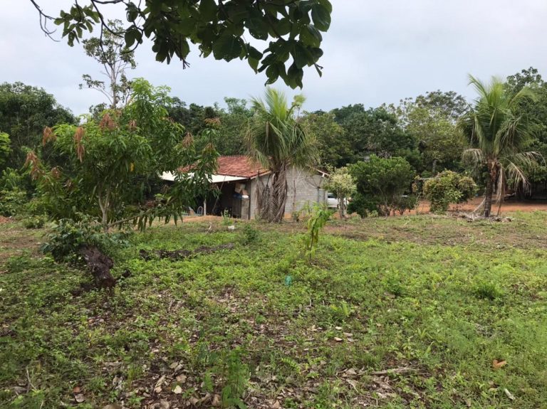 Fazenda de 50 alq. 100% plana – Dupla aptidão – 29 Km de Minaçu/GO