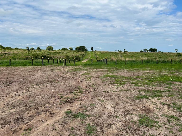 FAZENDA DE 672 ALQ (3252HA) PARANÃ/TO – PRÓX. GOIÁS