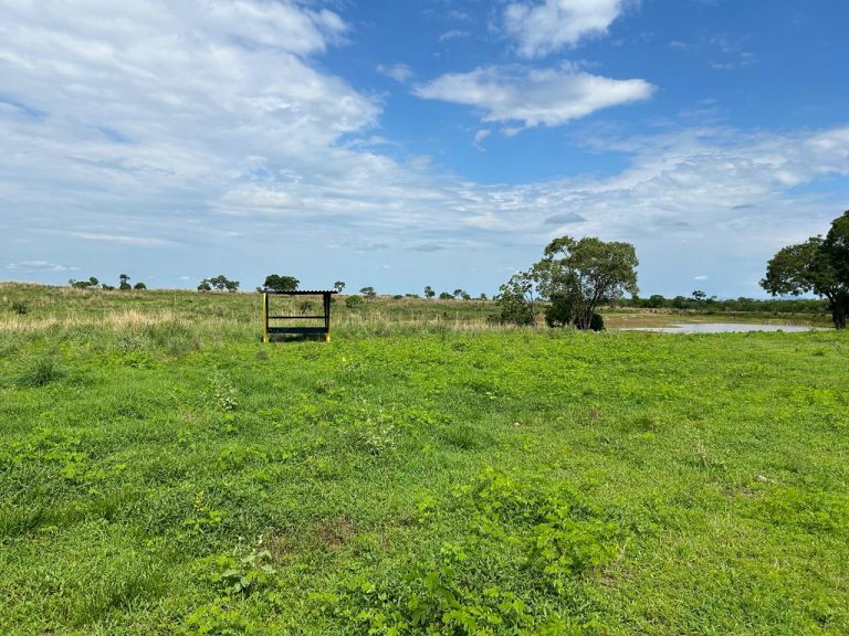 FAZENDA DE 672 ALQ (3252HA) PARANÃ/TO – PRÓX. GOIÁS