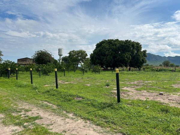 FAZENDA DE 672 ALQ (3252HA) PARANÃ/TO – PRÓX. GOIÁS