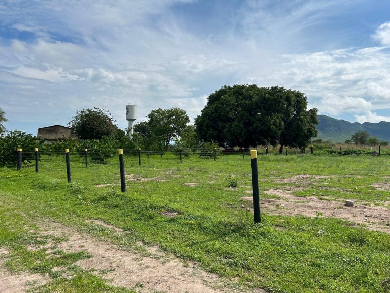 FAZENDA DE 672 ALQ (3252HA) PARANÃ/TO – PRÓX. GOIÁS
