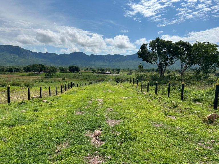 FAZENDA DE 672 ALQ (3252HA) PARANÃ/TO – PRÓX. GOIÁS