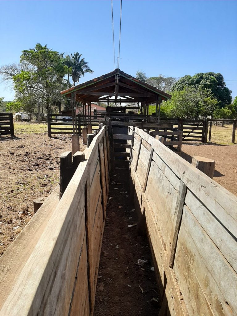 Fazenda 163 alq. p/ pecuária em Figueirópolis/TO