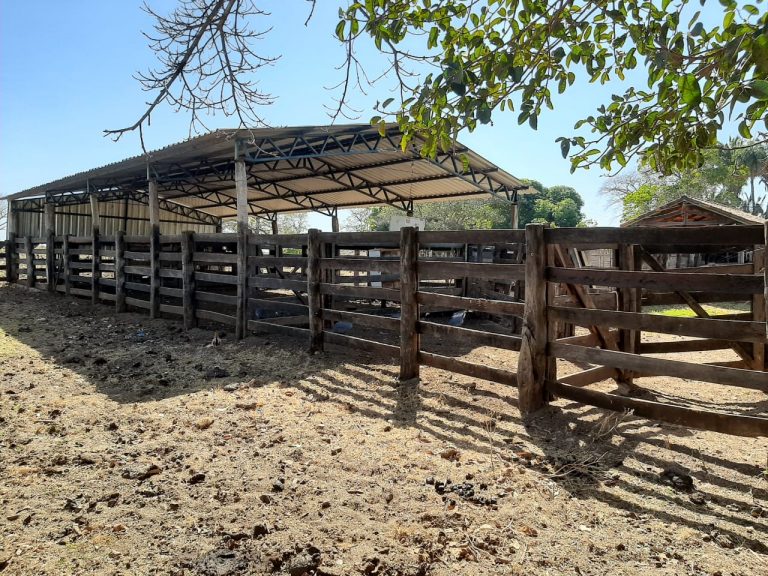 Fazenda 163 alq. p/ pecuária em Figueirópolis/TO