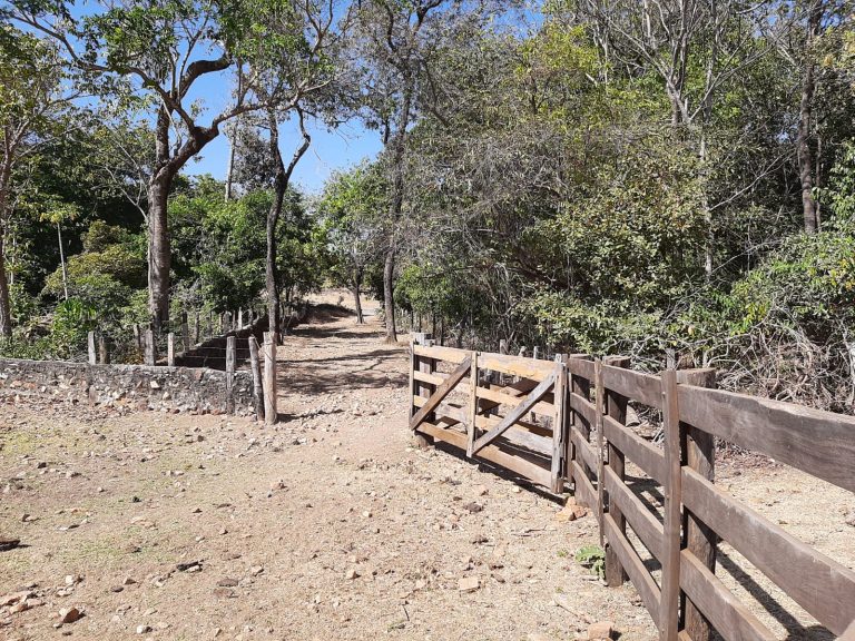 Fazenda 163 alq. p/ pecuária em Figueirópolis/TO