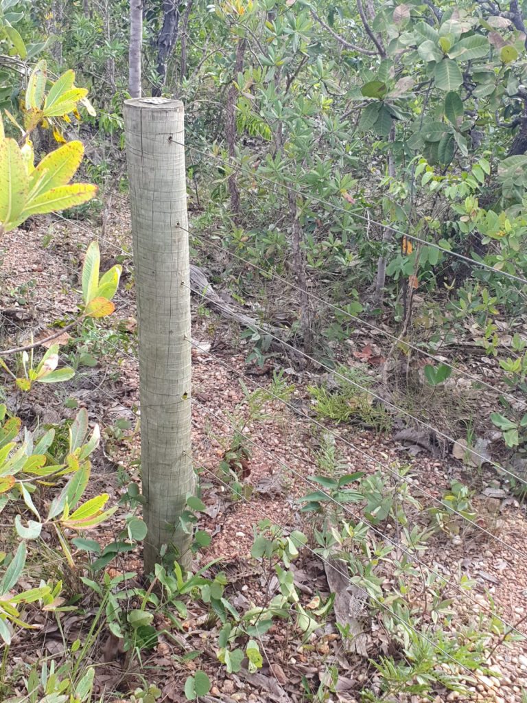 Fazenda plana 100 alq. p/ Pecuária – Cavalcante/GO