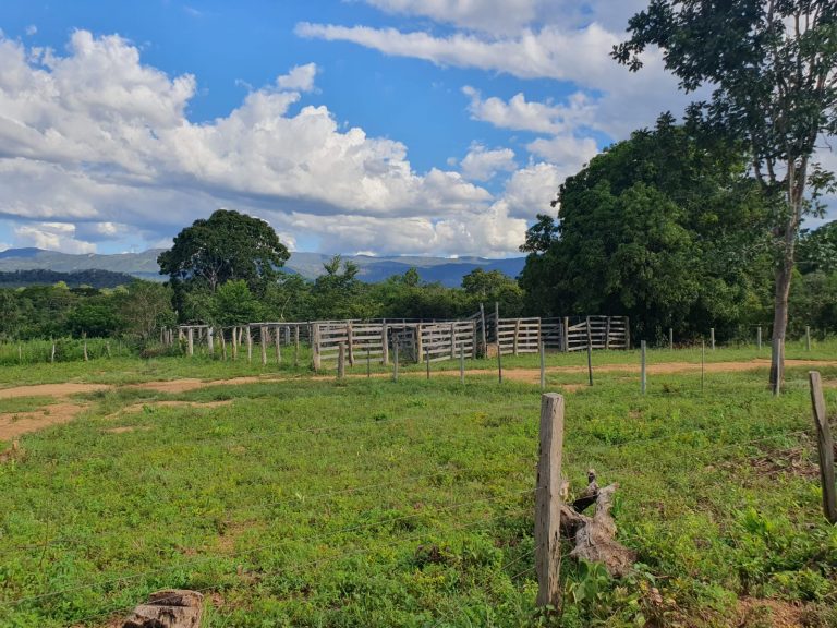 Fazenda plana 100 alq. p/ Pecuária – Cavalcante/GO