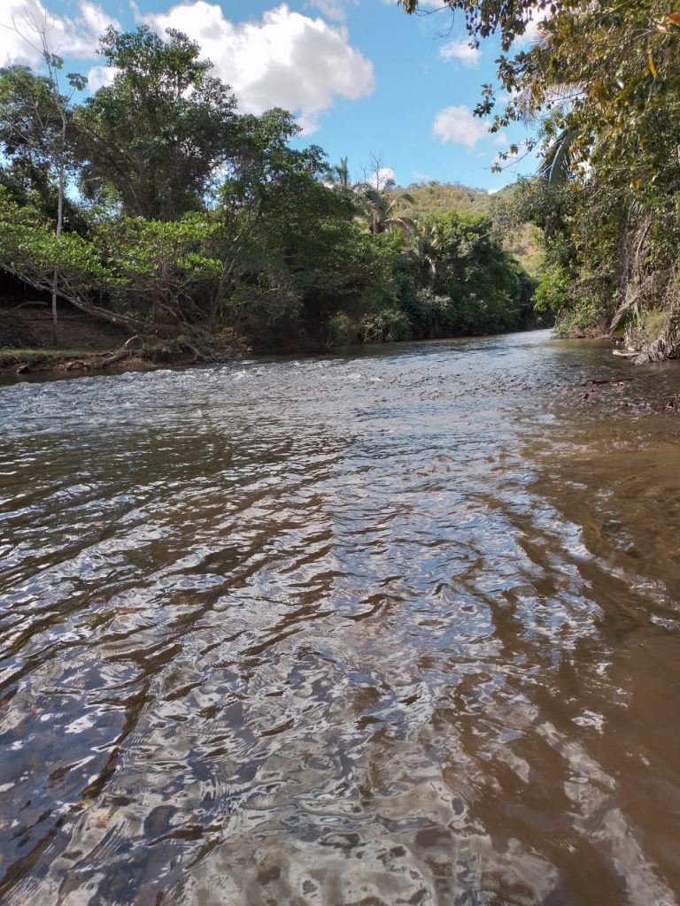 Fazenda de 80 alq (387ha) P/ Pecuária- a 55 Km de Minaçu/GO Fazenda de 80 alq (387ha) P/ Pecuária- a 55 Km de Minaçu/GO