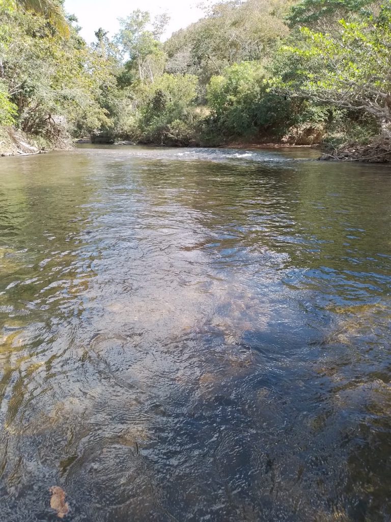 Fazenda de 80 alq (387ha) P/ Pecuária- a 55 Km de Minaçu/GO Fazenda de 80 alq (387ha) P/ Pecuária- a 55 Km de Minaçu/GO