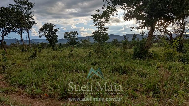Fazenda 44 alq (213ha) Plana – dupla aptidão – Minaçu/GO Fazenda 44 alq (213ha) Plana – dupla aptidão – Minaçu/GO