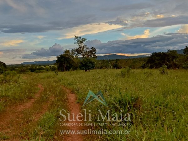 Fazenda 44 alq (213ha) Plana – dupla aptidão – Minaçu/GO