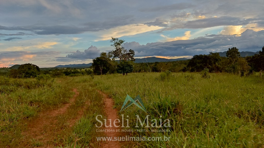 Fazenda 44 alq (213ha) Plana – dupla aptidão – Minaçu/GO