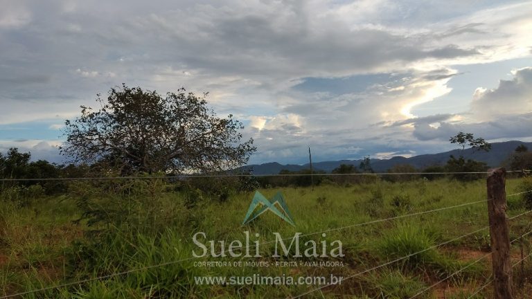 Fazenda 44 alq (213ha) Plana – dupla aptidão – Minaçu/GO Fazenda 44 alq (213ha) Plana – dupla aptidão – Minaçu/GO