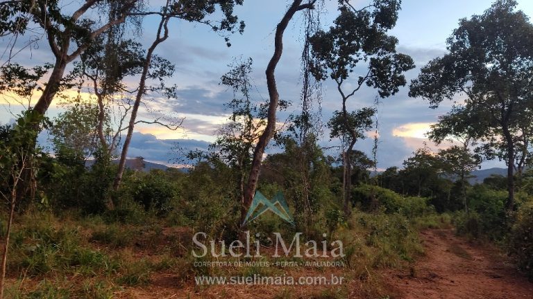 Fazenda 44 alq (213ha) Plana – dupla aptidão – Minaçu/GO Fazenda 44 alq (213ha) Plana – dupla aptidão – Minaçu/GO