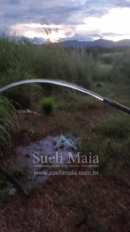 Fazenda 44 alq (213ha) Plana – dupla aptidão – Minaçu/GO Fazenda 44 alq (213ha) Plana – dupla aptidão – Minaçu/GO