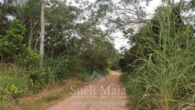 Fazenda 44 alq (213ha) Plana – dupla aptidão – Minaçu/GO Fazenda 44 alq (213ha) Plana – dupla aptidão – Minaçu/GO